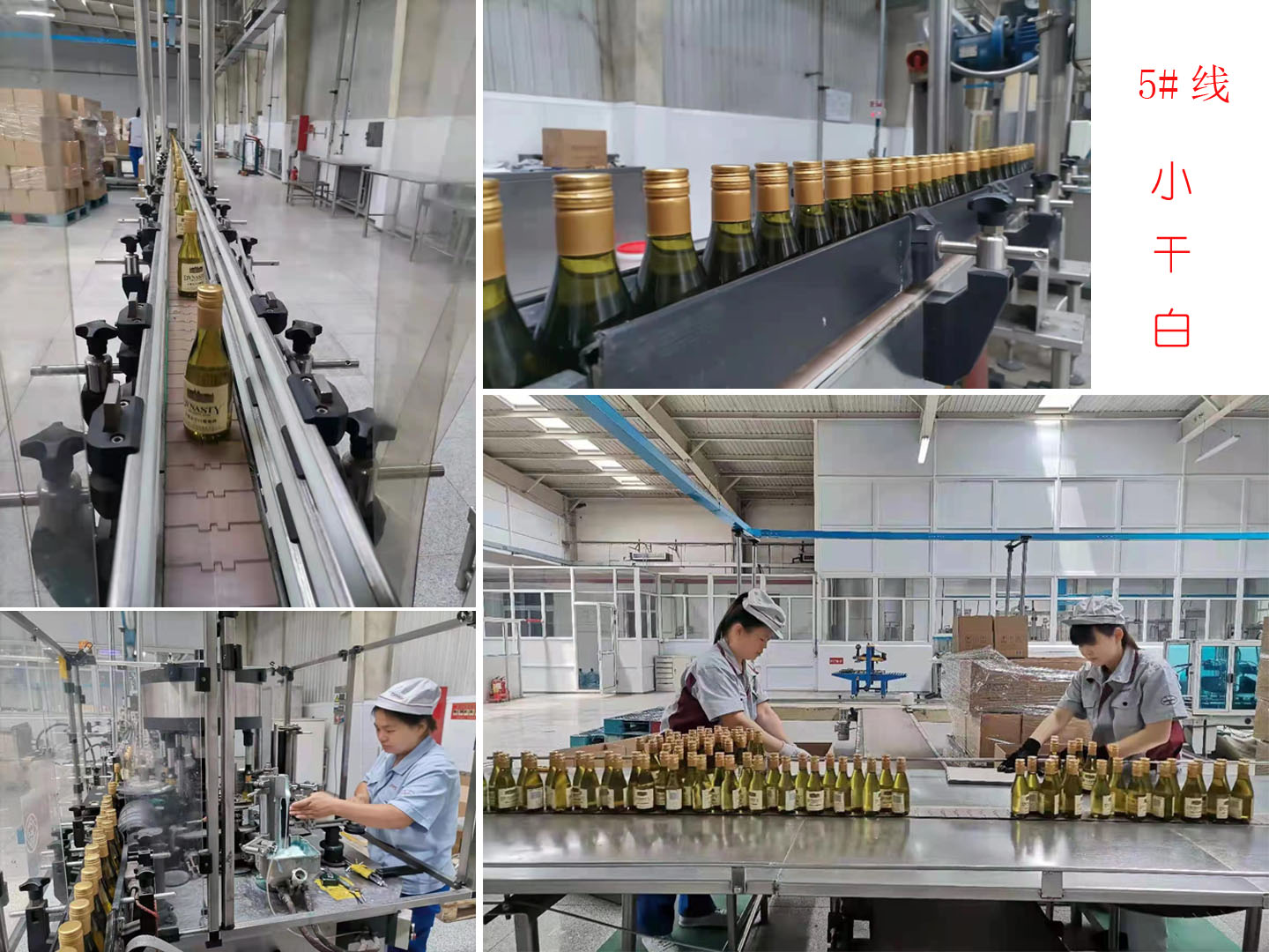 1624695866169095.jpg ΢ÐÅͼƬ_20210625144953.jpg