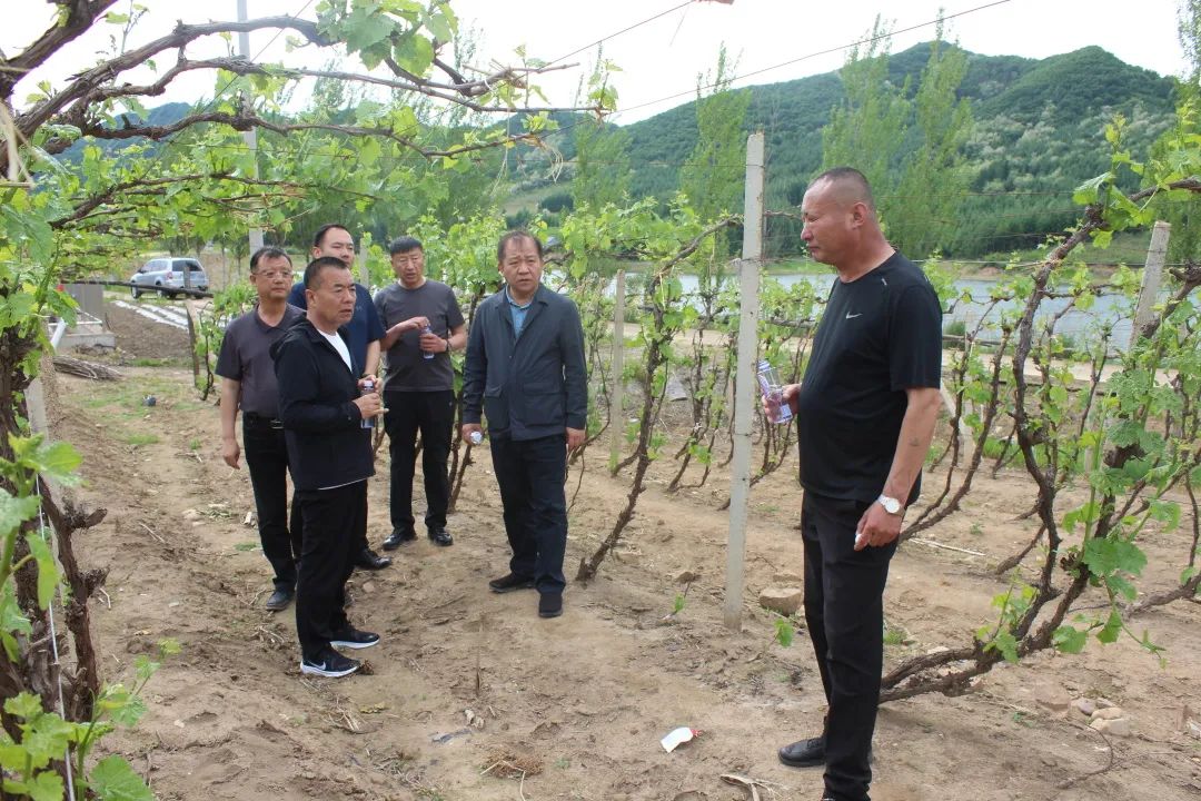 640?wx_fmt=jpeg ͼƬ