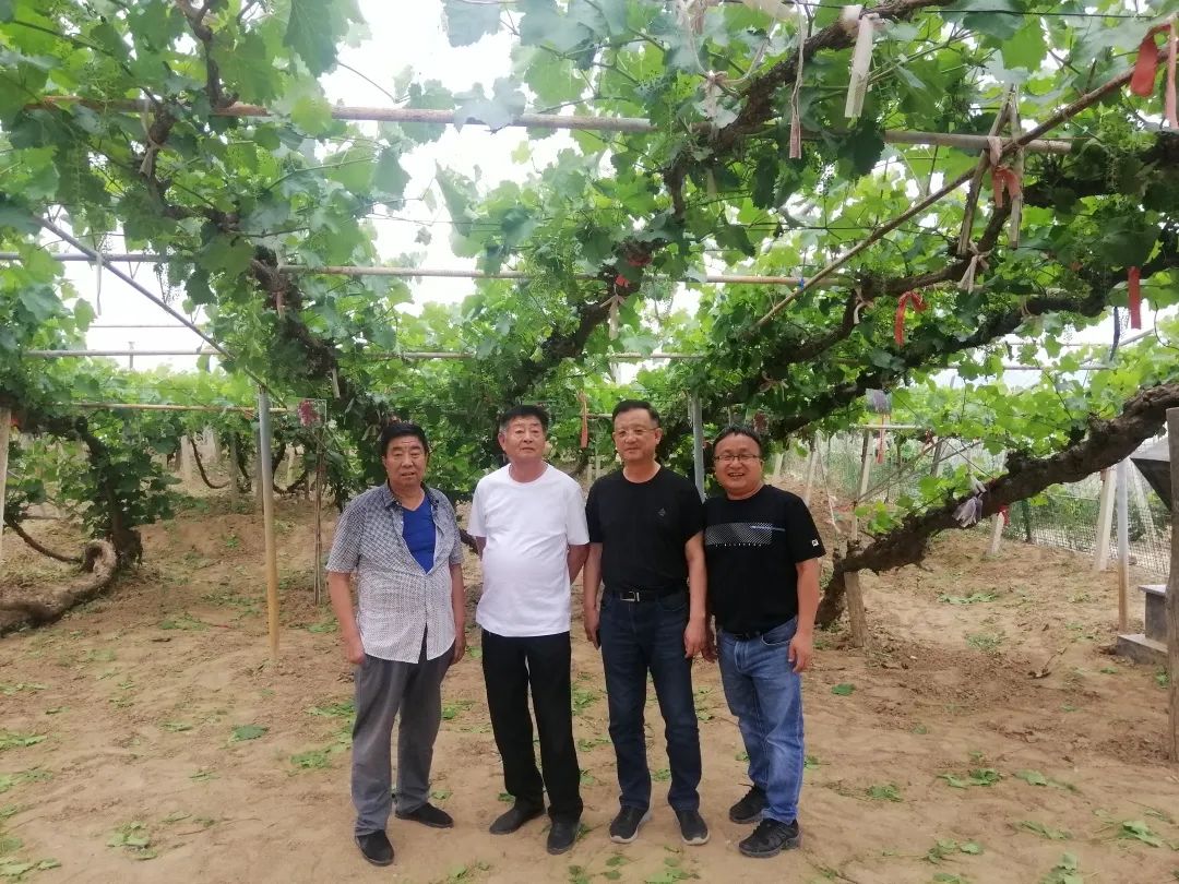 640?wx_fmt=jpeg ͼƬ