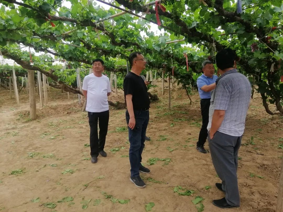 640?wx_fmt=jpeg ͼƬ