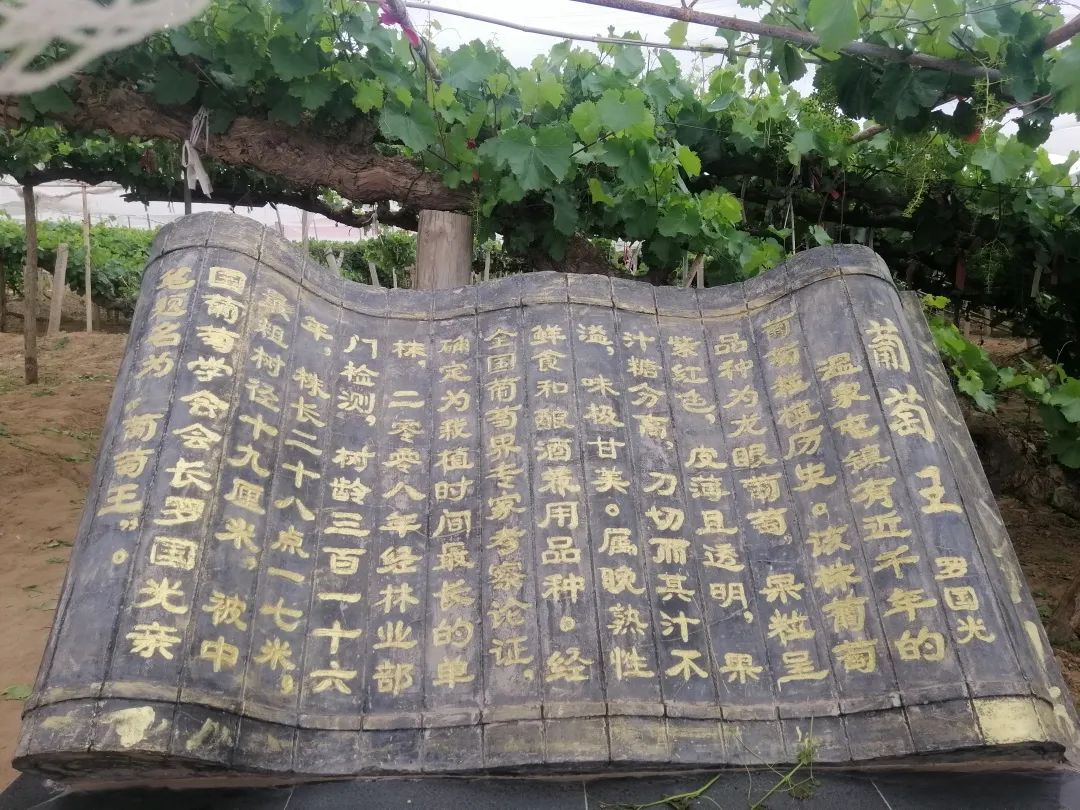 640?wx_fmt=jpeg ͼƬ