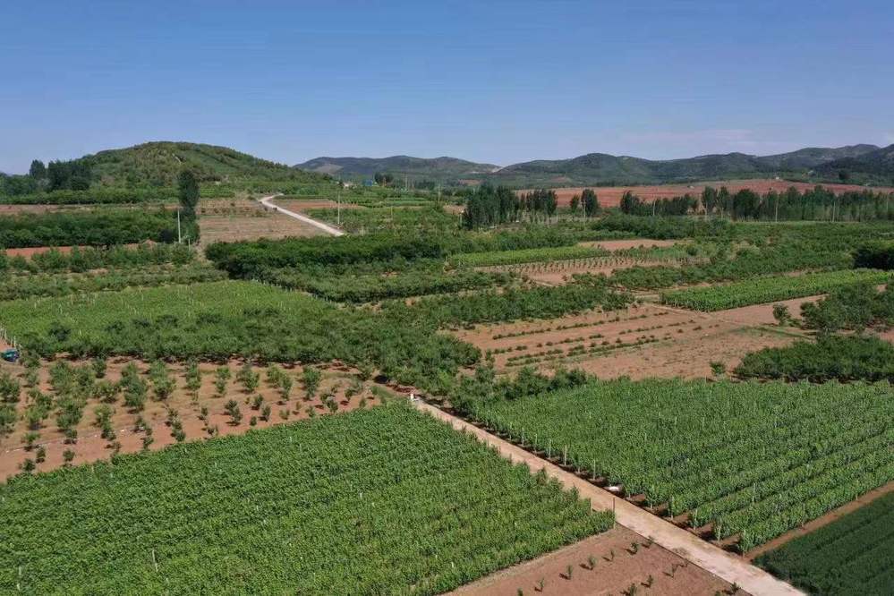 d89c50a1-c193-4eea-ac8a-4f71c6c50d75