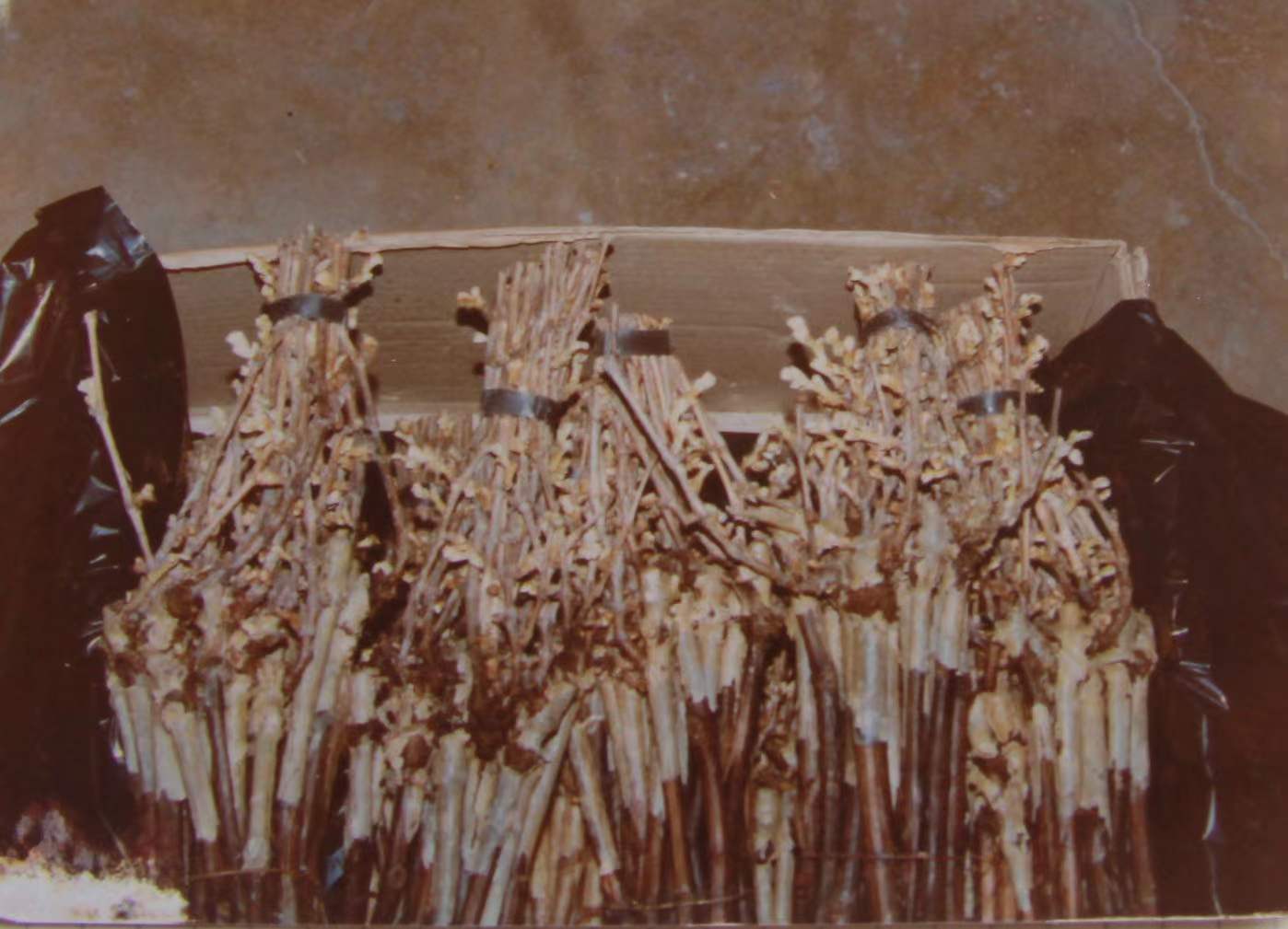 5cffbc3d-4fad-44bb-b80d-ec16f1938ea3