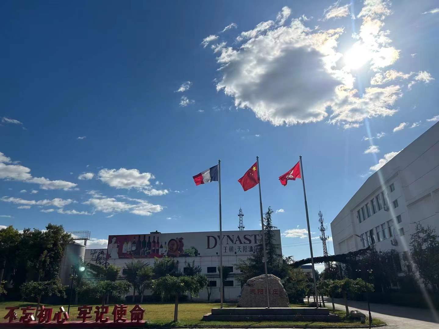 d0ad62b3-a429-4676-a656-adf72fa1d375