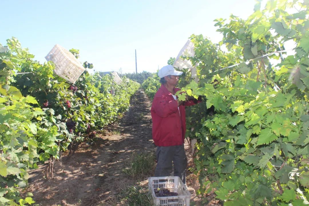 640?wx_fmt=jpeg 图片