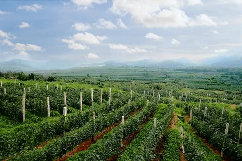 f9e081ca-5f58-4bdd-a63f-1c61355ba3bc