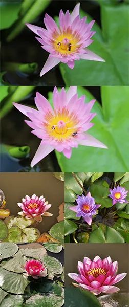 fff6714a-78c1-40a8-be33-e9ead7cf7203